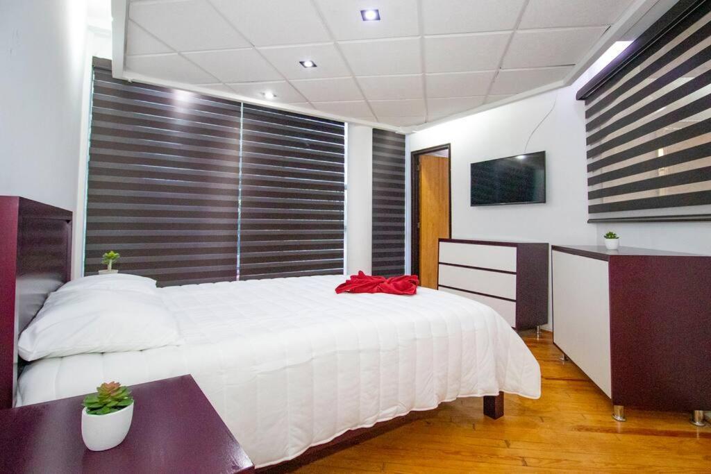 ¡Nuevo! Bamboo Celebrity Villa Città del Messico Esterno foto